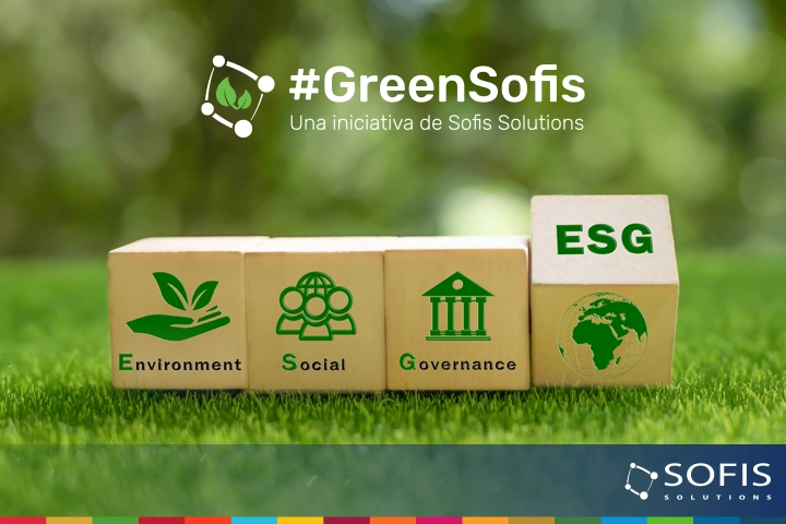 Dados que contienen los íconos de los criterios de sostenibilidad